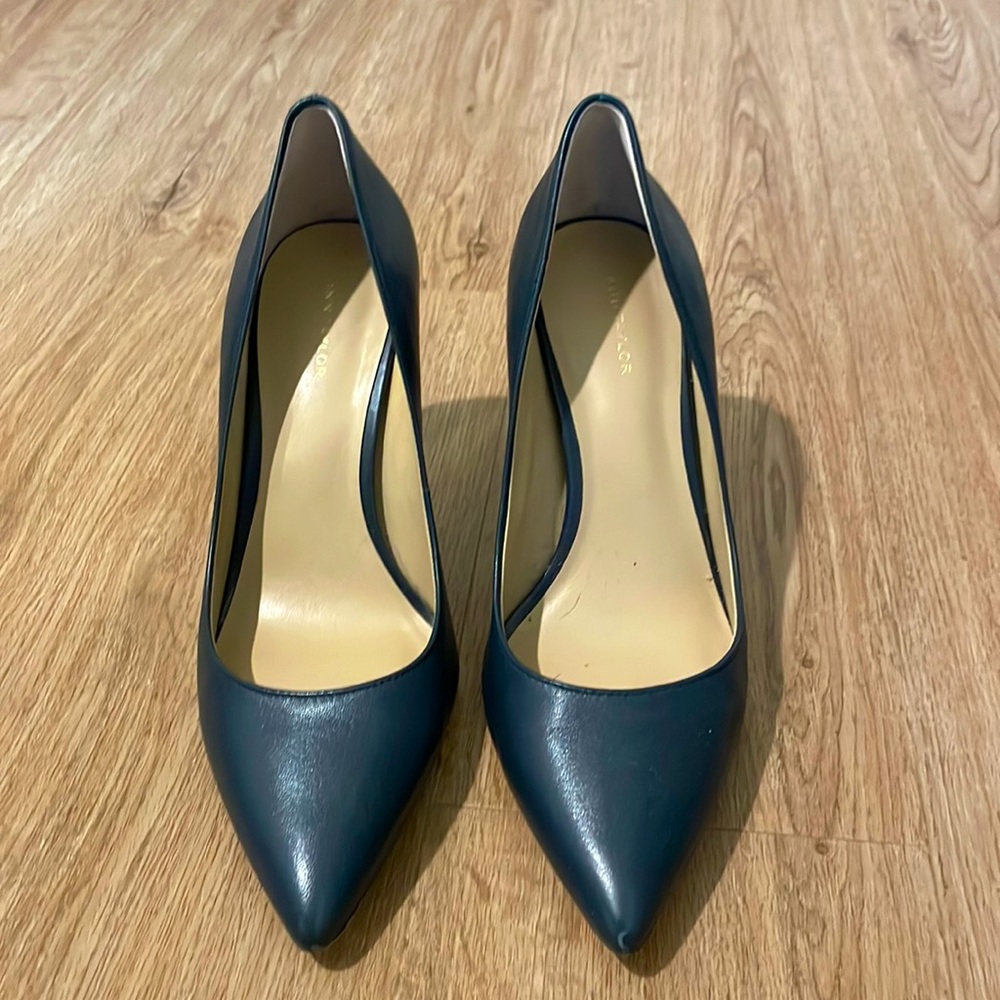 Ann Taylor Leather Pointed Pumps